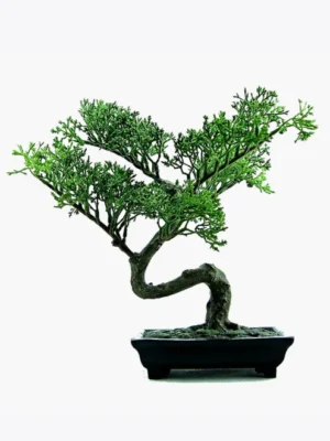 Buku Ajar Manajemen dan Akutansi (Coming Soon)