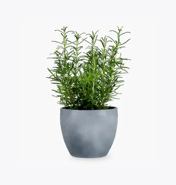 product-image-5_optimized Buku Ajar Hukum (Coming Soon)