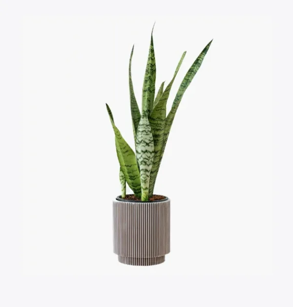 product-image-6_optimized Buku Ajar Hukum (Coming Soon)